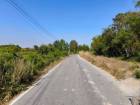 ขายที่ดินพร้อมสวนมะพร้าว บ้านโสกน้ำขาว ต.หนองไฮ อำเภอเมืองอุดรธานี