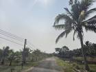 ขายสวนทุเรียน มะพร้าวน้ำหอม  พร้อมบ้านพักคนงาน  เขาบายศรี อำเภอท่าใหม่ จันทบุรี