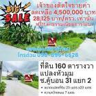 ขายที่ดิน160 ตารางวา 