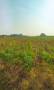 ขายที่ดินหนองบอนแดงบ้านบึงชลบุรี  608  ไร่