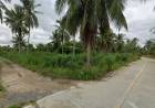 ขายที่ดินหนองขาม 21 ไร่ ติดถนน2ด้าน ใกล้สนามบินหนองค้อ-2.4กม. อ.ศรีราชา ชลบุรี