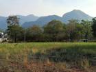 ขายที่ดินติดเขา เขาใหญ่ หมูสี วิวเขาสวยมาก 360ตร.ว ใกล้โครงการ Provence แปลงสวยหายาก วิวเขาหน้าหลัง อยู่กุดคล้าผ่านศึก ใกล้ธนะรัชต์ 1.4 กม. เหมาะปลูกบ้าน ทำรีสอร์ท ใกล้อุทยานแห่งชาติเขาใหญ่ 0879074045
