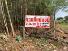 ขายด่วน !! ที่ดินแปลงสวย ทำเลดีใกล้แยกปากน้ำ สมุทรปราการ (เจ้าของขายเอง)