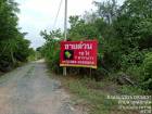 ขายที่ตราด ที่ใกล้ทะเลติดคลองสนห่างจากทะเล100เมตร