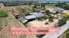 ขายที่ดิน พร้อมบ้าน 3 ไร่ 1 งาน 19 ตรว. ต.ทุ่งบัว อ.กำแพงแสน นครป