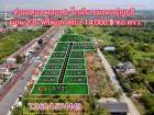 ที่ดินทำเลทองคลอง6-สด-ผ่อน ได้ใกล้ราชมงคล ธัญบุรี ปทุมธานี- T.062-1574449