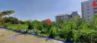 ที่ดินพร้อมขาย ( เหมาะสร้างหมู่บ้านจัดสรร/สร้างคอนโด )