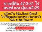 ขายที่ดิน 47 ไร่ 381 ตรว. ถ.คุ้มเกล้า ลาดกระบัง สีเขียว โดยเจ้าของ
