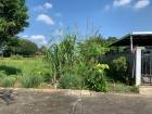 ขายที่ดินหมู่บ้านแม่สารบ้านตอง อำเภอเมืองลำพูน จังหวัดลำพูน