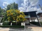 ให้เช่าบ้านเดี่ยว 2 ชั้น โมเดิร์นล้านนา โครงการ บุราสิริ สันผีเสื