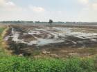 ขายที่นา 15-0-0 ไร่  ต.บางซ้ายใน อ.บางซ้าย จ.พระนครศรีอยุธยา