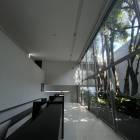 ขายโฮมออฟฟิศ 3 ชั้น มีบรรยากาศสวนส่วนตัวในอาคาร ย่านพัฒนาการ 58