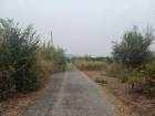 ขายที่ดินจัดสรร ทำเลดี  ตำบลหนองอีรุณ อำเภอบ้านบึง จังหวัดชลบุรี 