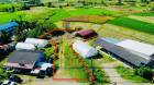 ขายที่ดิน ปัว น่าน 3 งาน 29.1 ตร.ว. ราคา 1.5 ล้าน