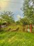 ขายที่ดิน หนองเสือ 251ตร.วา. รีบใช้เงิน วัดประสิทธิเวช 4.2  กม ติ