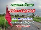 ที่ดินสวนเกษตร ชายทุ่ง ไม่ไกลกรุงแค่คลอง11 หนองเสือ ผ่อนได้สบายใจ- T.062-1574449