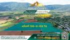 ขายที่ดิน 56 ไร่ 2 งาน 2 ตร.ว. ทําเลทอง ปากช่อง-เขาใหญ่ สนใจติดต่อ 0816162512