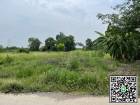 ขายที่ดิน  ซอยเทศบาลบึงบา อำเภอหนองเสือ จังหวัดปทุมธานี