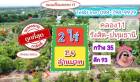 ขายที่ดินแปลงสวย คลอง11 รังสิต-ปทุมธานี 2 ไร่