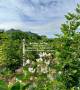 ขายที่ดิน พร้อมกิจการฟาร์มเกษตร 26 ไร่ ใกล้วัดพระขาว ปากช่อง โครา