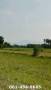 ขายที่สวยยกแปลง ไม่แบ่งขาย ติดลาดยาง ต.ท่าทราย อ.เมืองนครนายก