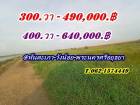 2 แปลงสุดท้าย ขายถูกมากที่ดินโซนวังน้อย - T.062-1574449