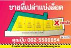 ขายที่แบ่งล็อค ขายที่เปล่าชัยภูมิ เยื้องโรงเรียนนาเสียว
