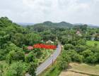 ขายที่ดินติดถนนหลวง เนื้อที่ 142 ตารางวา สาริกา นครนายก