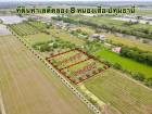 ขายที่ดินหนองเสือ 1 ไร่ คลอง8 หลังอบต.บึงบอน ใกล้ถนนเส้น3221-500เมตร บึงบอน ปทุมธานี
