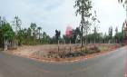 ขายที่ดินว่างเปล่ามือสอง    อำเภอนาหว้า  นครพนม