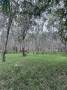 ขายที่ดินพร้อมสวนยางพารา  ทำเลดี ลำทับ จังหวัดกระบี่
