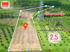 ที่ดินสวนปาล์มปลูกใหม่ แปลงใหญ่ 9-3-55 ไร่