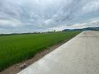 ขายที่ดิน 15-20 ไร่ หน้ากว้าง ผังม่วง  อ.เมือง ฉะเชิงเทรา 