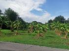 ขายที่ปล่าวสวย2.63ไร่ตำบลเหมืองง่าอำเภอเมืองลำพูนจ.ลำพูน