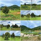 บ้านสวนทุเรียนโฉนด 27 ไร่ ติดคอนกรีต/ที่สวยวิวเขา️