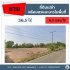 ขายที่ดินพร้อมสวนมะนาวในพื้นที่ 36.5 ไร่ ต.ป่าหวาย อ.สวนผึ้ง จ.ราชบุรี