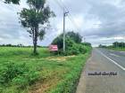 ขายที่ดิน 19 ไร่ 2 งาน 16 ตรว ต.สองห้อง อ.เมือง จ.บุรีรัมย์