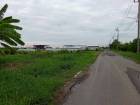 ขายที่ดิน 2 ไร่ ซอยเลียบคลองสิบสามฝั่งตะวันออก 34 ใกล้วัดป่าวิศรุตรัตนาราม