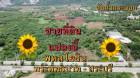 ขายที่ดินหน้ากว้าง 150 เมตร  ที่ดินติดถนนพหลโยธิน พระพุทธบาท