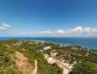 ขายที่ดินเกาะล้าน พัทยา บางละมุง ชลบุรี 