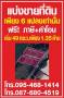 ขายที่ดินนนทบุรี ไทรน้อย บางบัวทอง-ถมแล้ว เส้นบ้านกล้วย-ไทรน้อย ซอยสามัคคีธรรม2 โทร 095-4681414