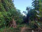 ที่วิวสวยมีไว้ไม่ผิดหวัง ที่ดินติดลำธาร น้ำมวบ ใสไหลฉ่ำตลอดปี จ.น