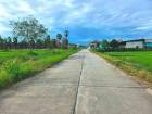 ขายที่ดินสวยหนองหงส์พานทองชลบุรี  10 ไร่