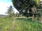 ขายที่ดิน หน้าสนามบินนานาชาติ นครศรีธรรมราช 