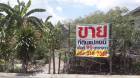 ที่ดินเปล่า 99ตรว.ใกล้เซ็นทรัลแจ้งวัฒนะ  ปากเกร็ด นนทบุรี 11120 เบอร์ติดต่อ 0893187953 เจ้าของขายเอง