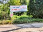 ที่ดินเปล่า 1-1-88.4 ไร่ ต.เมืองปัก อ.ปักธงชัย จ.นครราชสีมา