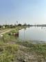 ขายที่ดินแปลงใหญ่ ทำเลทอง ใกล้ ABAC บางนา จังหวัดกรุงเทพมหานคร