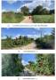 ขายที่ดินเปล่า อำเภอบางวังน้อย จังหวัดพระนครศรีอยุธยา  