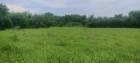 ที่ดินเปล่า ต.บ้านใหม่ อ.เมือง จ.นครราชสีมา 