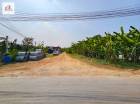 ขาย ที่ดิน ใกล้ถนนบรมราชชนนีเพียง 2 กม. ใกล้วัดดอนหวาย นครปฐม ต.ทรงคนอง อ.สามพราน 2 ไร่ 97 ตรว
